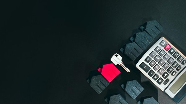 How Can We Improve the Lifestyle of Pets in the UK?